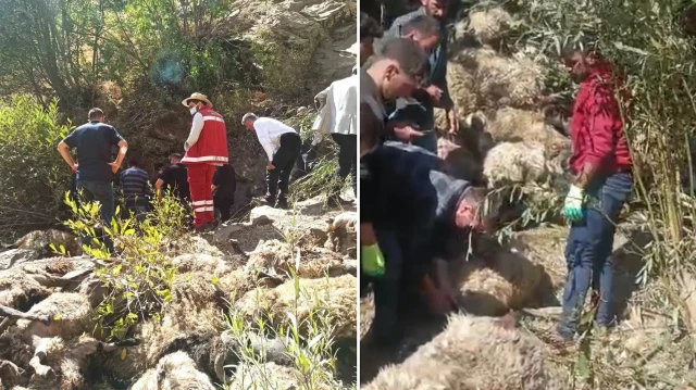 İl Tarım ve Orman Müdürlüğü ile İlçe Tarım Orman Müdürlüğü’nden 2 ekip bölgeye giderek zarar tespit çalışması yaptı.