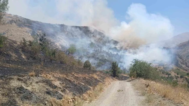 Yangın bölge sakinlerine korku dolu anlar yaşattı.