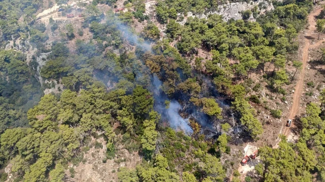 Antalya'da korkutan yangın