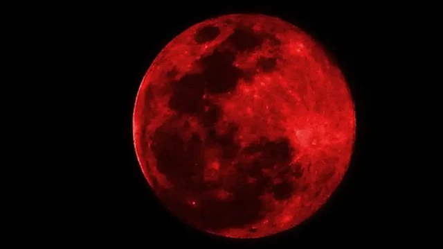 زيلينسكي: ترامب بلقائه مع بوتين منحه ما أراد وهذا أمر محزن للغاية