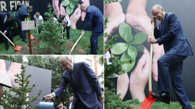 Cumhurbaşkanı Recep Tayyip Erdoğan fidan dikti.