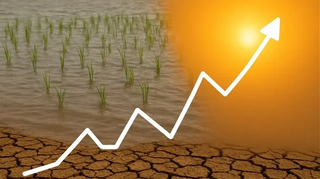 Eurostat relève une forte augmentation des prix des œufs, des fruits et du lait, tandis que l’huile d’olive et les pommes de terre enregistrent une chute marquée.