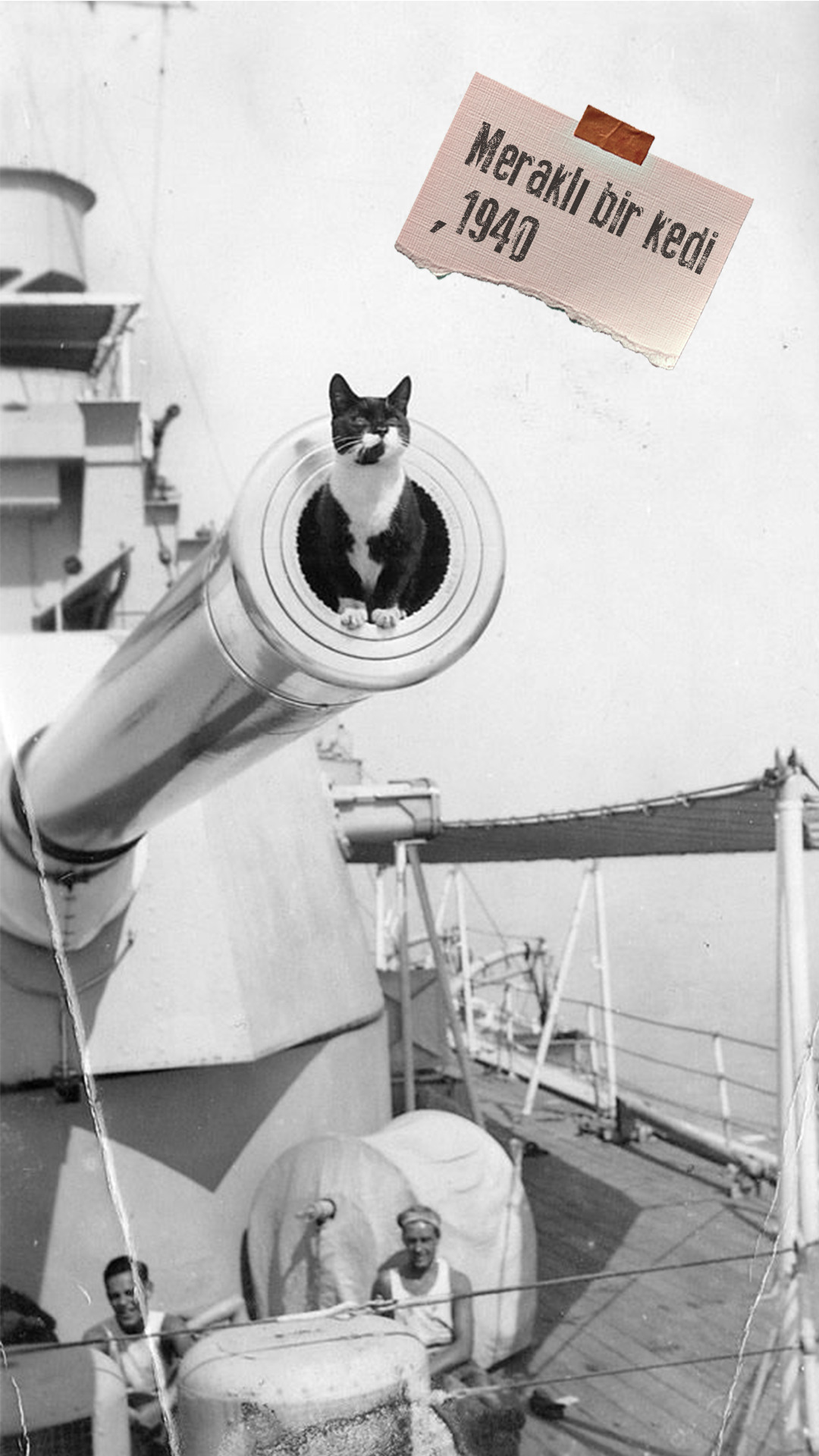 Котов корабль в честь кого назван. Непотопляемый Сэм кот. Кот с линкора бисмарк непотопляемый Сэм. Кот на корабле. Корабельный кот.