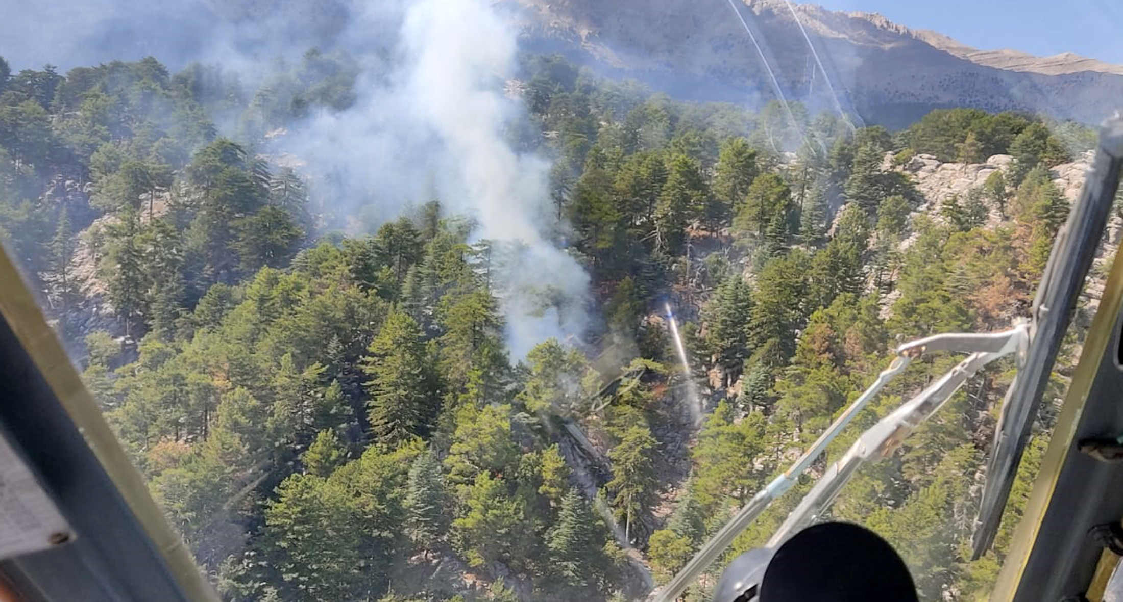 Manavgat'ta orman yangını: Kontrol altına alındı