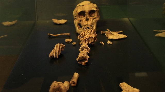 Etiyopya'nın başkenti Addis Ababa'da bulunan Ulusal Müze, kente gelen turistlerin ilk uğrak yeri oluyor. Müzede dünyanın en ünlü insansı fosillerinden biri olarak bilinen ve Lucy'den 150 bin yıl daha yaşlı olduğu hesaplanmış olan "Selam" (fotoğrafta) adlı fosil müzenin bodrum katında sergileniyor.   