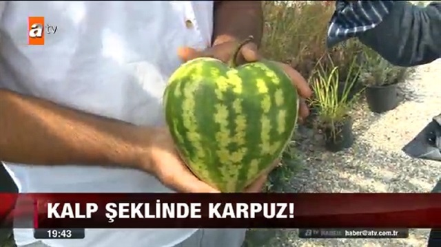 kalp karpuz