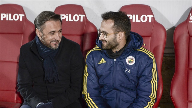 Kanarya zirveye uçtu