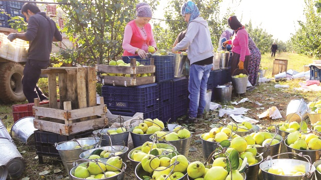 Tuğba Bayburtluoğlu ve arkadaşları sebzeli makarnaları üretiyor.