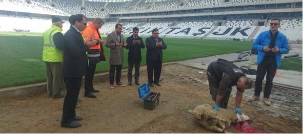 besiktas in yeni stadinda kurban kesildi yeni safak