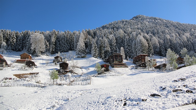 Rize'nin Çamlıhemşin ilçesine bağlı ünlü turizm merkezi Ayder Yaylası'nın yüksek kesimlerine kar yağdı. 