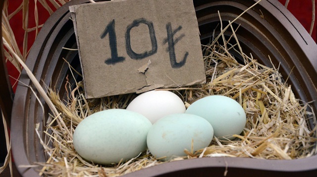 Tanesi 10 liradan satılan Ameraucana cinsi yumurtalar astım ve kolesterole iyi geliyor.