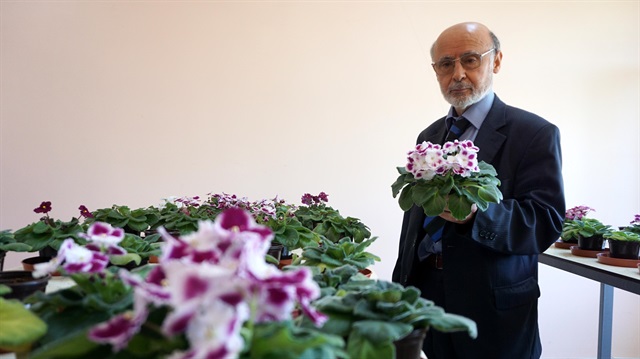 Saksı çiçeğinin gübrelenmesine dikkat çeken Prof. Dr. Barış, işlemin yanlış yapıldığında çiçeğin kurumasına neden olduğunu söyledi.