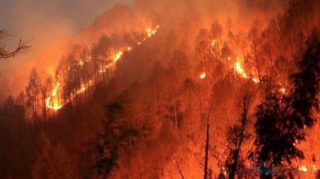 Hindistan'ın kuzeyindeki Uttarakhand eyaletinde çıkan orman yangınında 7 kişi hayatını kaybetti.