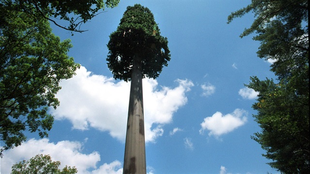 ABD'de baz istasyonları yapay ağaç şeklinde kamufle ediliyor.
