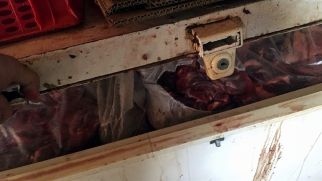 Ele geçirilen 5 ton domuz eti büyükşehirlerde satışa sunulacaktı. 