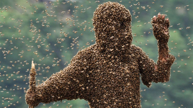 Amerika'nın Arizona eyaletindeki bir milli parkta Alex Bestler isimli genç, binlerce arının saldırısına uğradı. 
