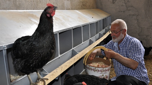 Özdemir,  satın aldığı işletmede farklı bir iş yapmaya karar verdiğini, bölgenin ihtiyacı olduğunu düşündüğü tavuk çiftliğini kurduğunu söyledi.