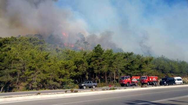 Antalya'nın Kemer ilçesinde Milli Parklar alanında yangın