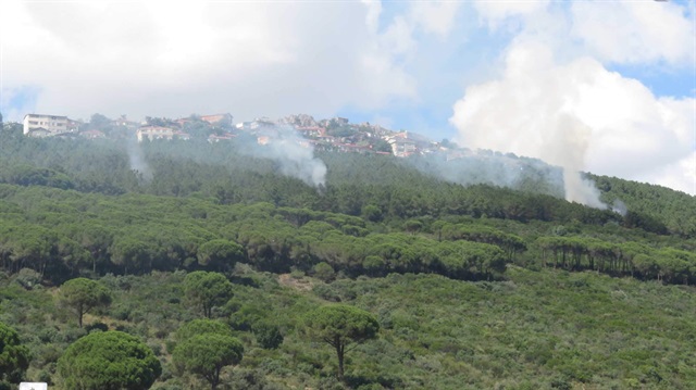 İstanbul Maltepe’de Başıbüyük Ormanlık alanda yangın çıktı. 
