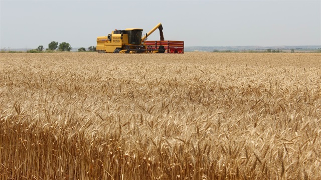 Yerli tohumla üretilen ürünlerin, en az ithal tohumla üretilenler kadar verimli ve kaliteli olduğu belirtildi.
