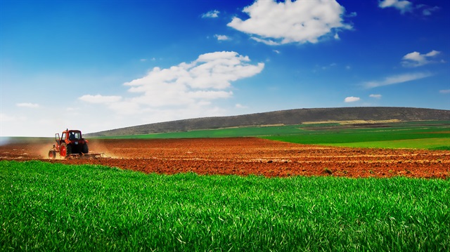 Çukurova'da organik tarım uygulamalarının da yaygınlaştırılması hedefleniyor.