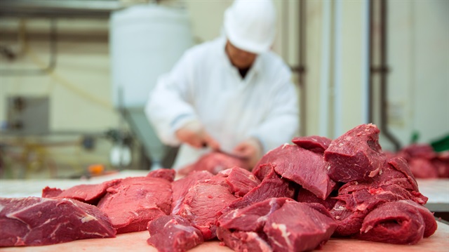 Türkiye’de kişi başına kırmızı et tüketiminin AB ülkelerinin yarısı kadar olduğu belirtildi.
