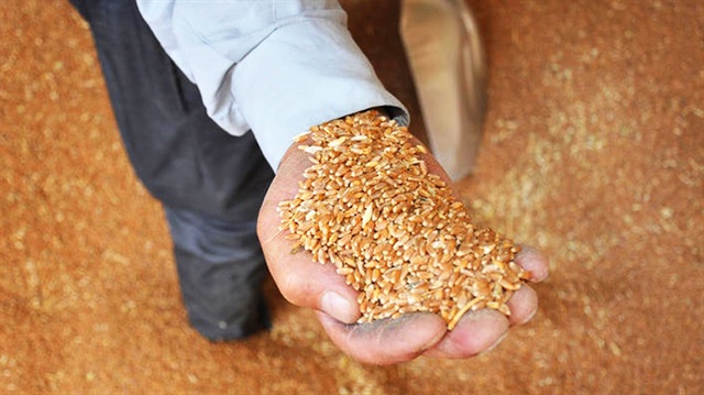 4 bin çiftçiye, 2 bin ton sertifikalı buğday ve arpa tohumu dağıtılacak.
