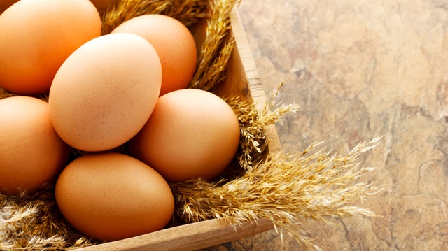 Tavuk yumurtası üretimi, ağustosta bir önceki aya göre yüzde 6,9 artarak 1,6 milyar oldu.