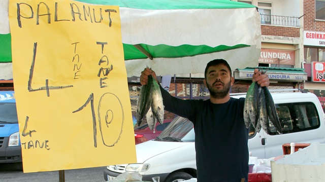 Balıktaki bolluk fiyata da olumlu yansıdı. Giresun'da palamut 2,5 liraya düştü.