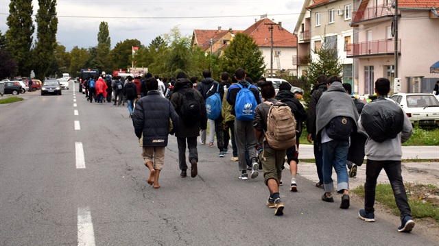 Sırbistan sınırından Macaristan'a doğru yürüyen sığınmacılar. 