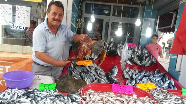 Kırlangıç balığının kilogramı 50-60 liradan satışa sunuldu.