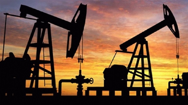 TPAO, ülkenin ham petrol ve doğalgaz arzına katkıda bulunmak amacıyla Azerbaycan, Irak, Rusya, Libya ve Afganistan'da çalışmalarına devam ediyor.