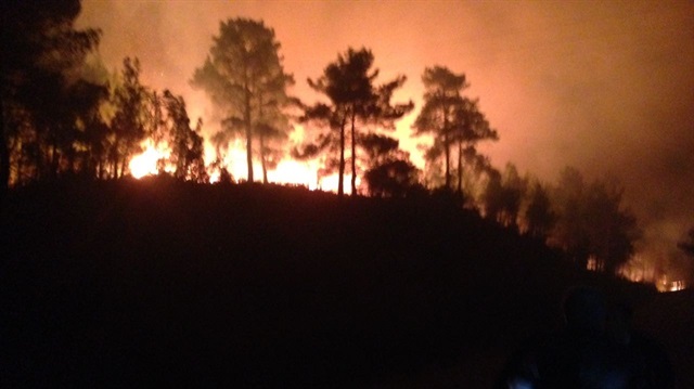 Orman yangını ekiplerin müdahalesi sonrası kontrol altına alındı.