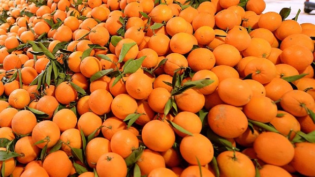 Rusya'ya portakal ihracatı 90 bin tonu aştı.