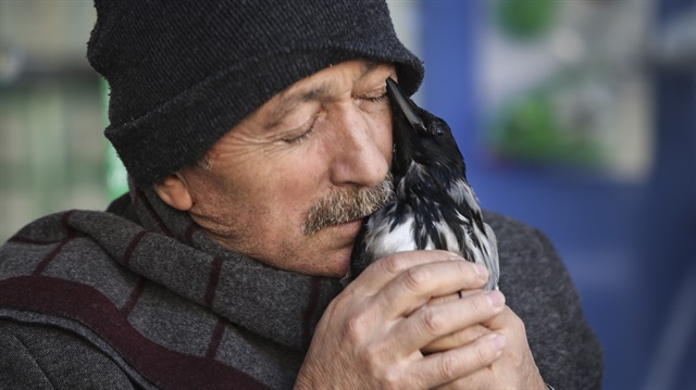 'Karga babası' olarak tanınan Şeref Yaman, kuşları tutsak etmeden seviyor.