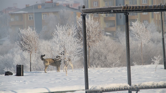 Ardahan'da soğuk hava yeniden etkili olmaya başladı.