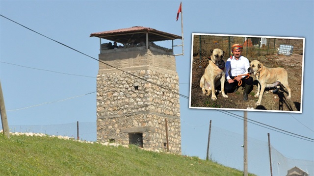 Proje kapsamında, tüm sınır karakollarına Akbaş ve Karabaş ırklı köpekler teslim edilecek. 