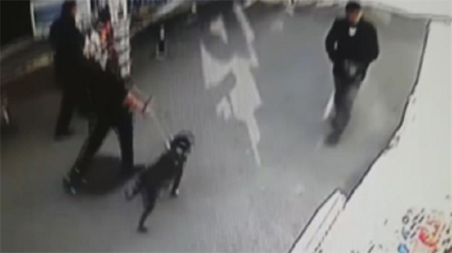 Pitbull cinsi köpeğin bir şahsa saldırması kameralarca kaydedildi.