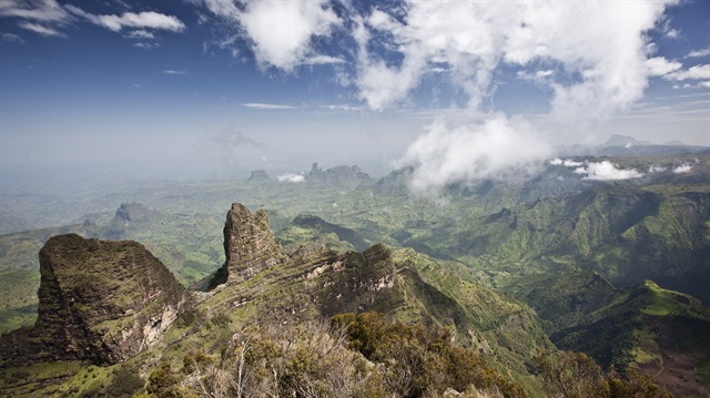 Etiyopya'da iki yeni tür keşfedildi Bilim Haberleri