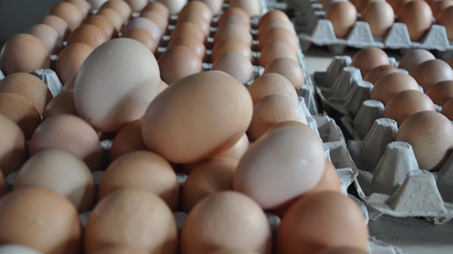 Üreticiler, son günlerde artan yumurta fiyatının uzun süredir düşük fiyat nedeniyle sıkıntı yaşayan sektörü rahatlattığı görüşünü savunuyor.