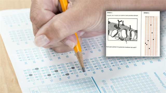 LYS'de kısa cevaplı soru örneği tanıtıldı.