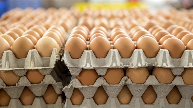 Yumurta hakkında şimdiye kadar bildiğiniz her şeyi rafa kaldırın