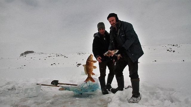 30 santimetreyi bulan buz tabakasını testereyle kesip balık avlıyorlar. 