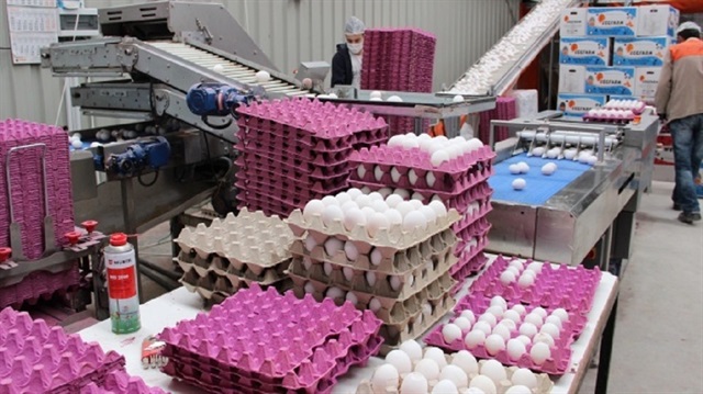 Yumurta fiyatlarındaki fiyat farkının temel sebebinin aracılar olduğu belirtildi.