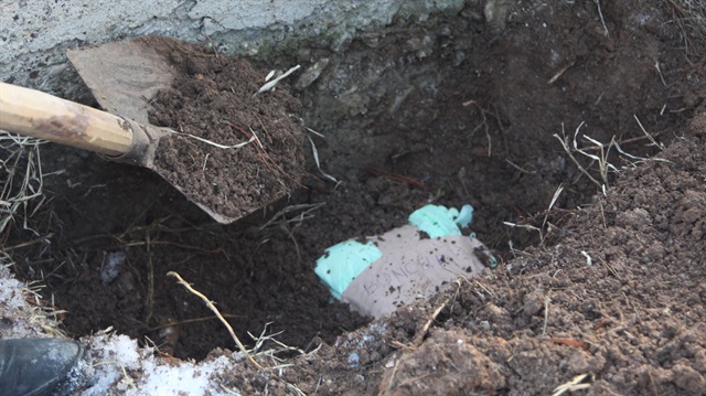 Çankırı'da yaşayan aile, ölen kedilerini aile mezarlığına gömdü.
