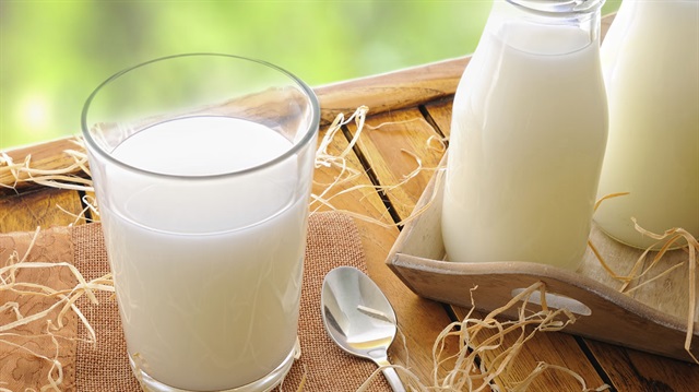 Bakan Çelik, "Biz işletmelerin çiğ sütü nasıl tüketiciye ulaştıracağını konuşurken, köydeki Ayşe Teyze'nin sütüyle uğraşmaya başladılar" dedi.