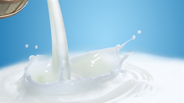 Tüketiciler, üretilecek çiğ sütü rahatlıkla alabilecek, hatta yoğurdunu peynirini yapıp yeme rahatlığını da bulabilecek. 