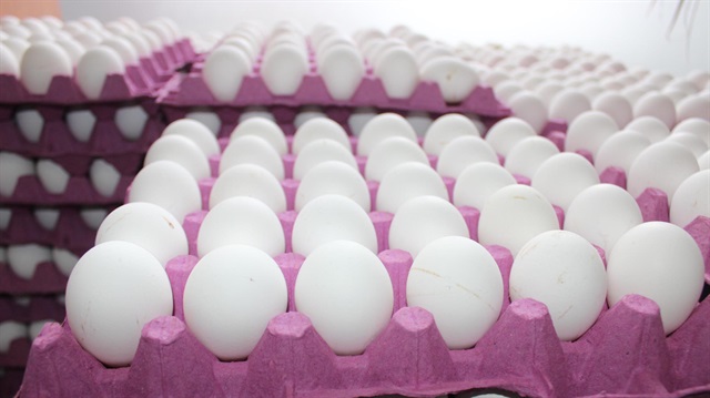 Türk ihracatçılar Şubat’ta Irak’a bin tır yumurta ihraç edecek.

