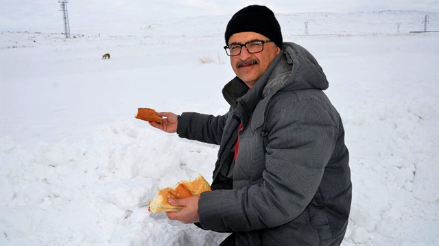 Kar yağışı ve soğuk hava nedeniyle aç kalan tilki, yoldan geçerken kendisini fark eden Hasan Cellat tarafından ekmekle beslendi. 