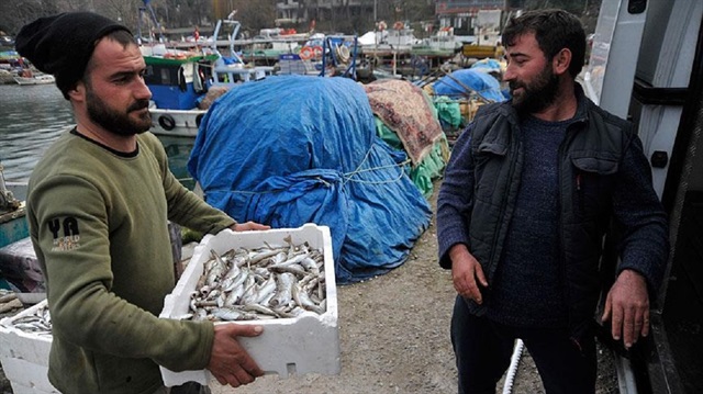 Balıkçılar, Karadeniz'den eli boş dönüyor.